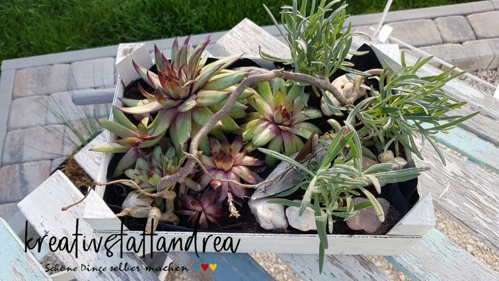 Obstkisten Und Weidenkorb Bepflanzen Gartendeko