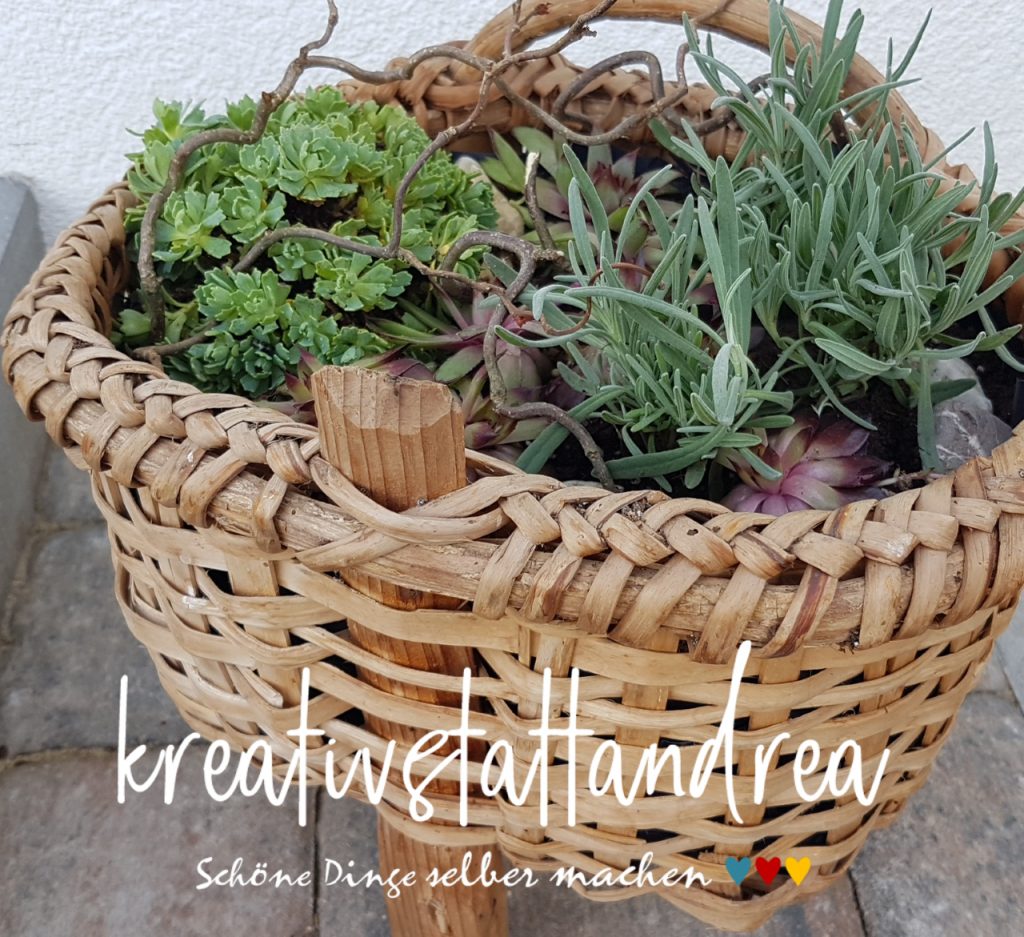 Obstkisten Und Weidenkorb Bepflanzen Gartendeko
